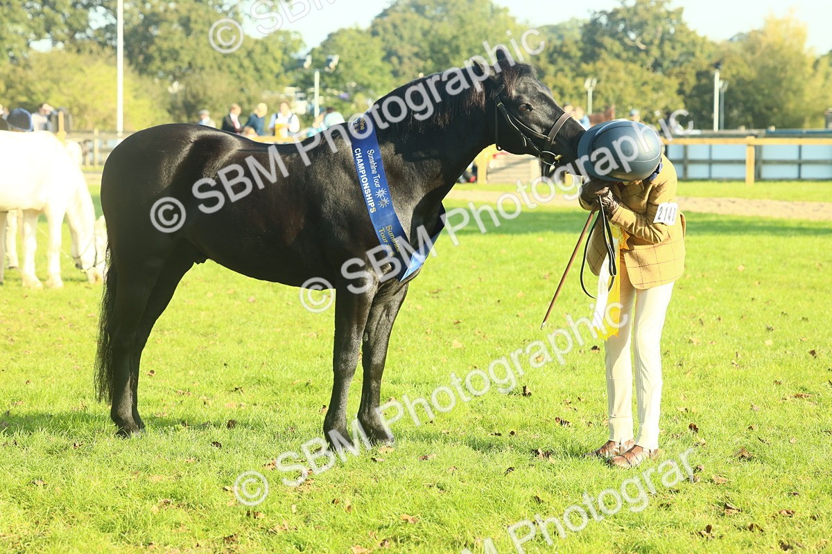 SBM_58463 - S37 - Starters In Hand Showing