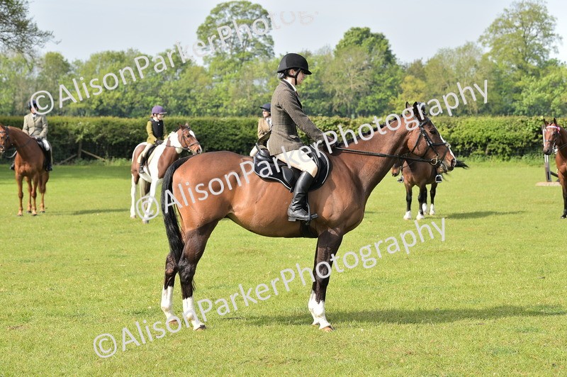 20260426-0937 - Class 18 - Novice Showing