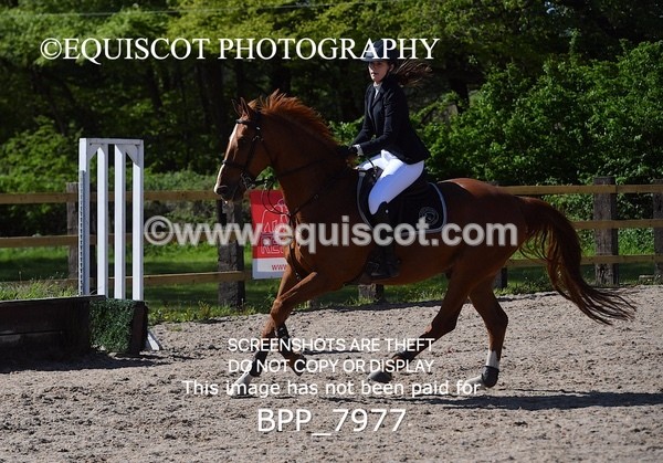 BPP_7977 - CLASS 2 Club/ Unaffiliated 80cms Open