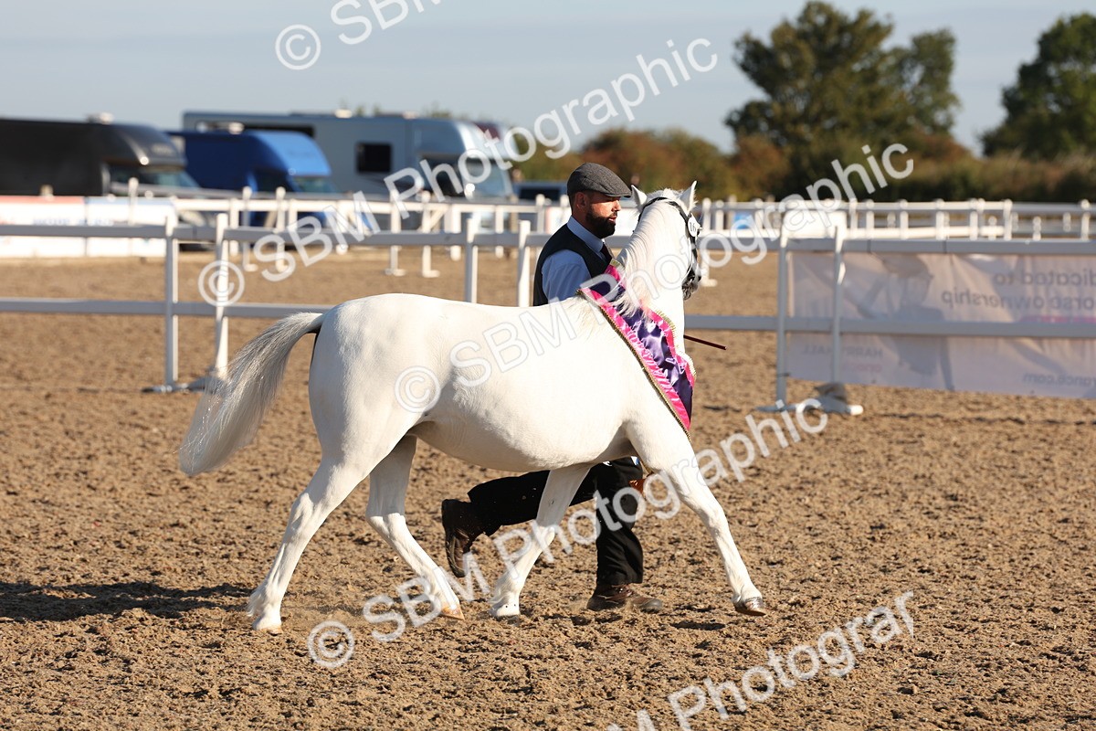 SBM_10812 - Class 201 - Best Turned Out - IH