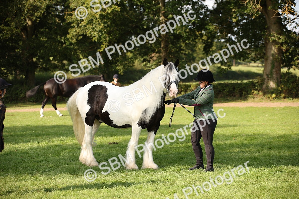 SBM_61193 - S54 - Show Cob In Hand