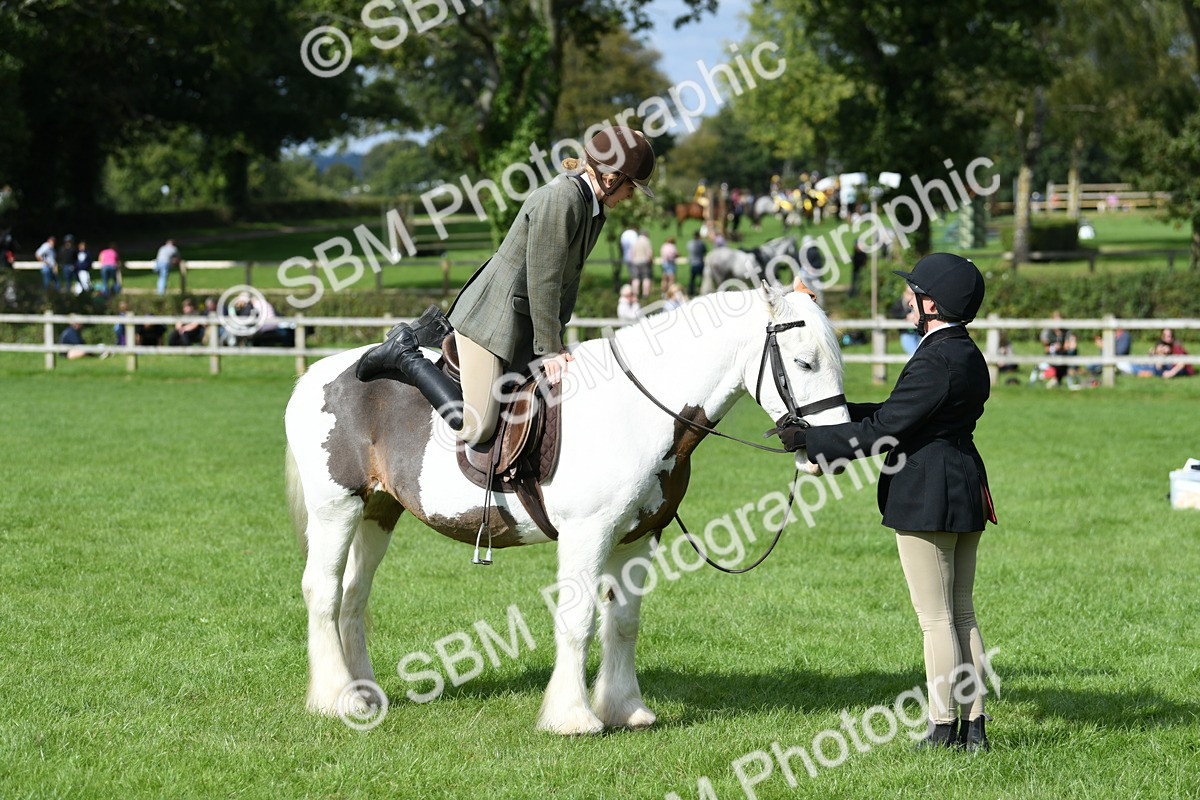 SBM_47037 - S12 - Family Horse & Pony