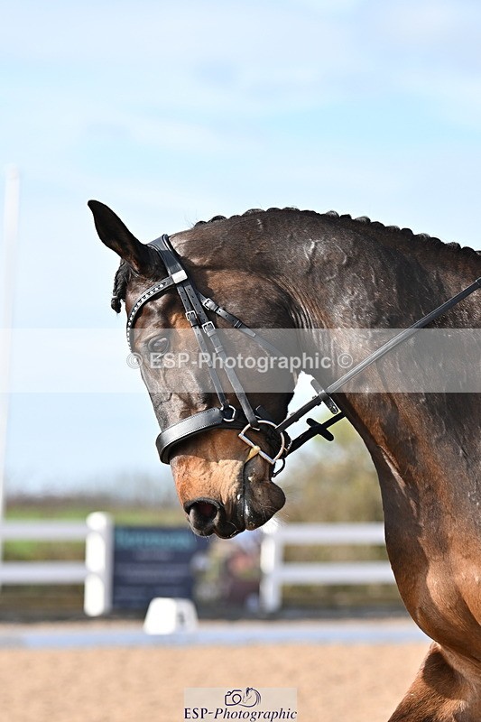 240324A-144558-04095 - Novice 27, 14.30 to 15.25