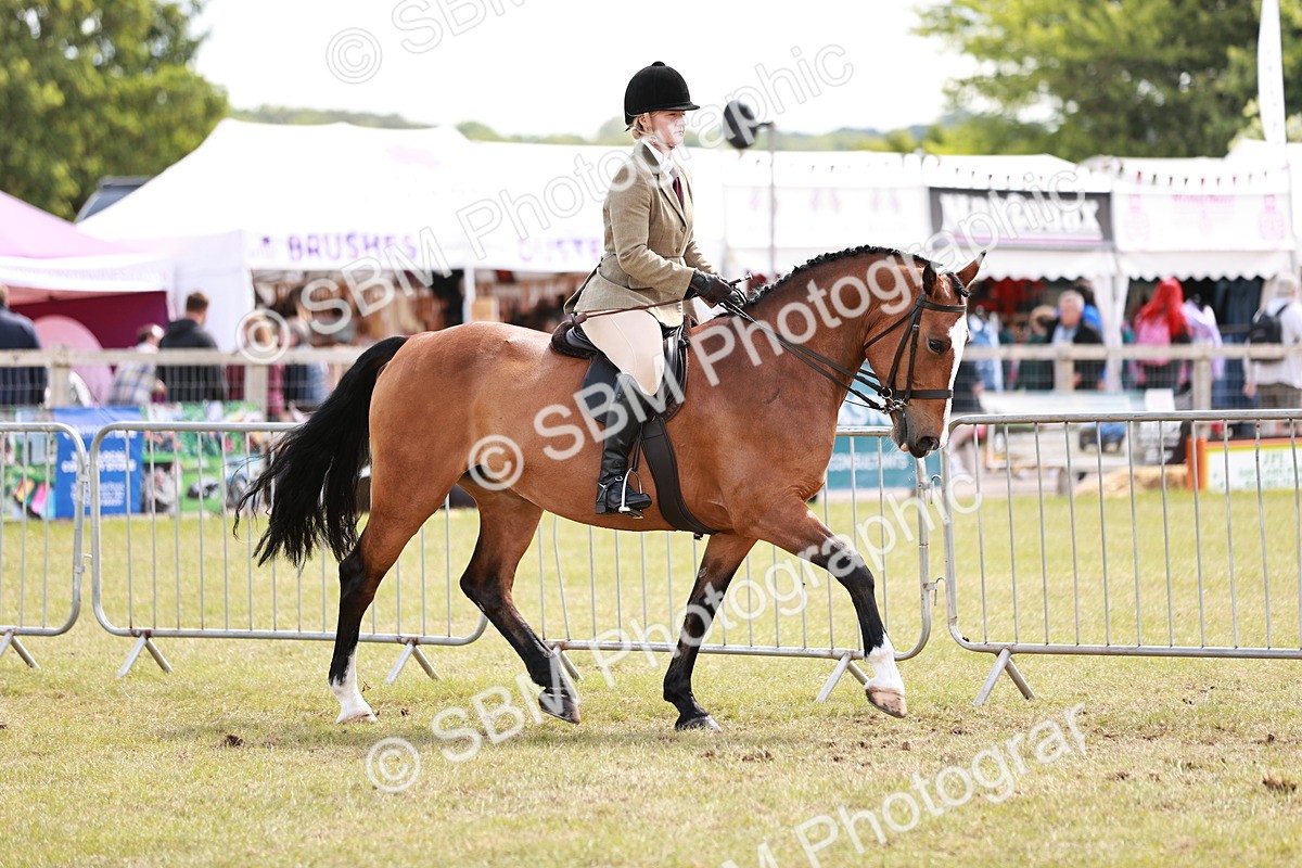SBM_14514 - Class 88-89 - LIHS BSHA Rising Star of Ridden Hunter Type