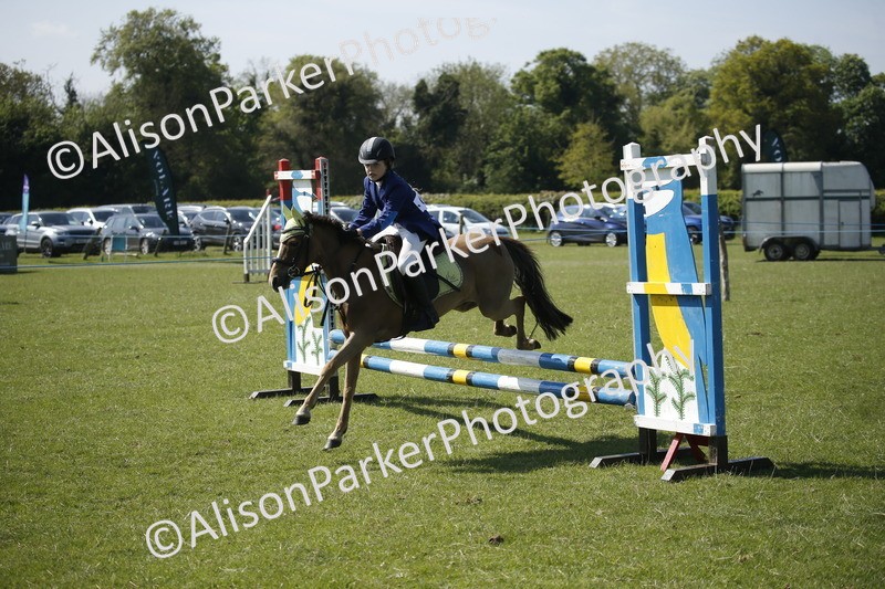 20250427-2124 - Class 13 - Novice Jumping 60cm