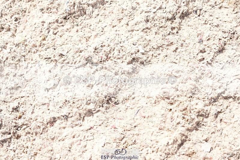 250815-133858-01206 - 1.30pm Presentations