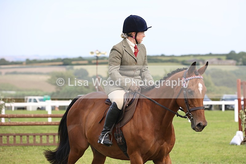 JPP_4192 - Class 25: Working Show Horse