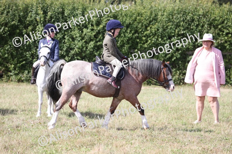 20260906-3059 - Class 18 - Childs First Pony
