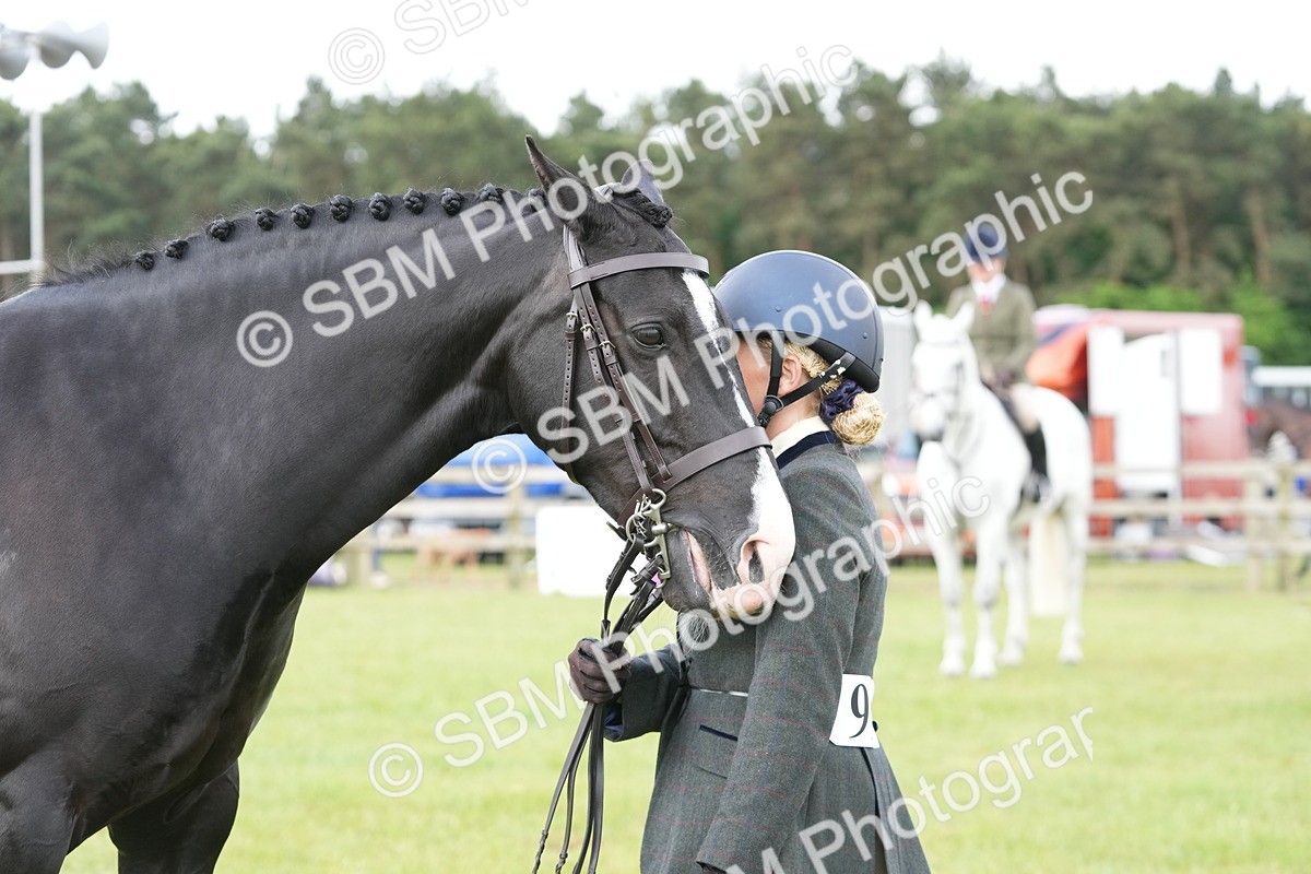 SBM_12767 - Class 97-98 - LIHS BSHA Rising Star Working Show Horse Hunter