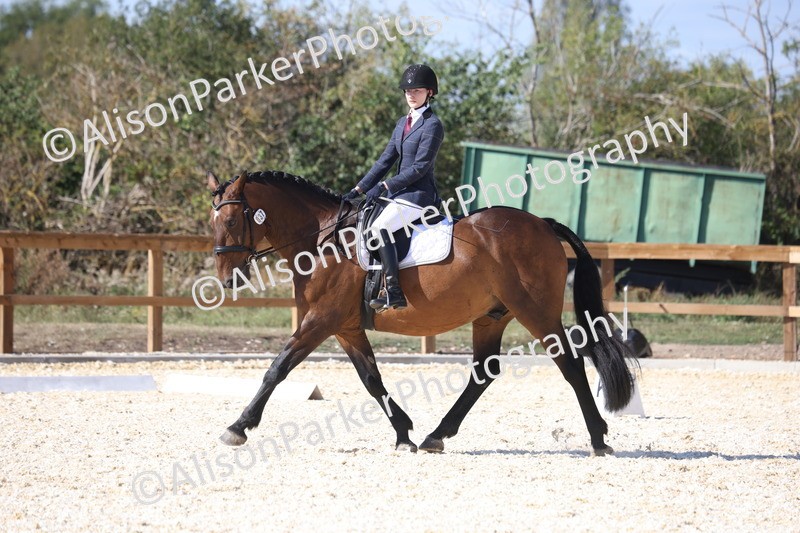 20260905-1593 - Class 5 - Novice 2
