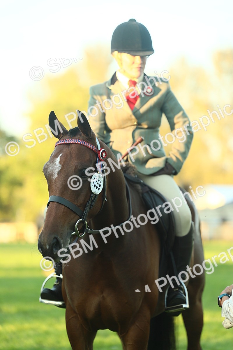 SBM_56585 - S14 - Riding Club Horse