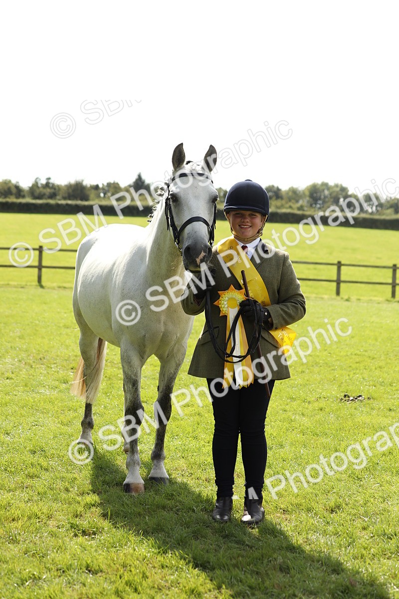 SBM_65620 - S48 - Show Pony & Show Hunter Pony In Hand