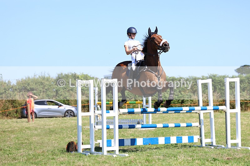 3E7A6470 - Class 13: Senior Newcomers/1.10m open