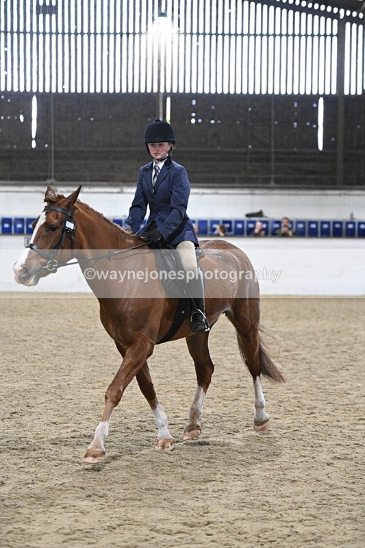 WJ7_4139 - Class 17 Ridden Cob