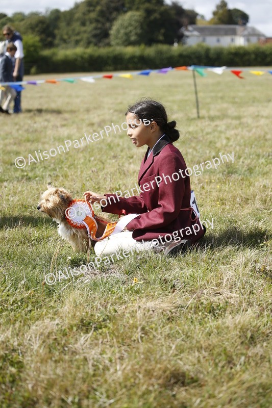 20250831-3705 - Dog Show