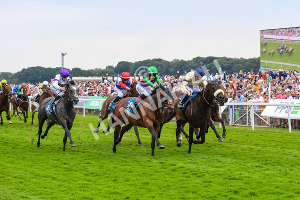 170623-Race 4-Quinault-0629 - Race 4 3.40pm Oakmere Homes Supporting Macmillan Sprint Handicap