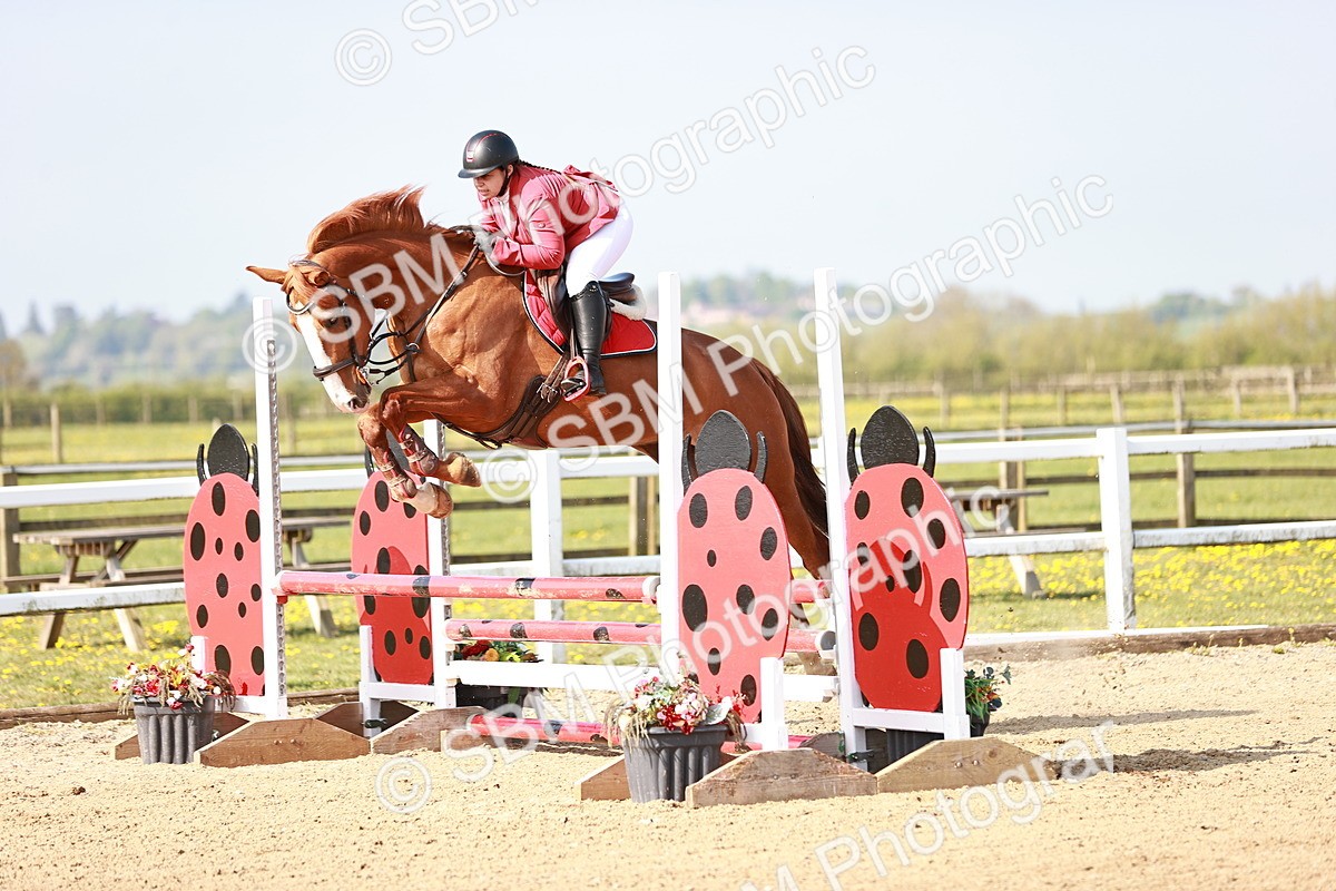  - Class 21 - Senior British Novice - 90cm
