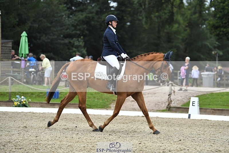 230812-122623-04113 - Cls 6 Novice Silver 12.10 to End