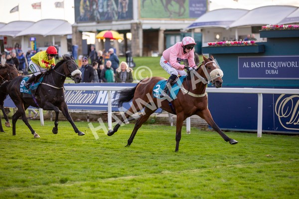 111024-Race 7-On The River-7078 - Race 7 4.55pm Ire Incentive, It Pays To Buy Irish Apprentice Handicap