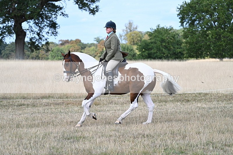 WJ7_6971 - Class 14 Ridden Coloured