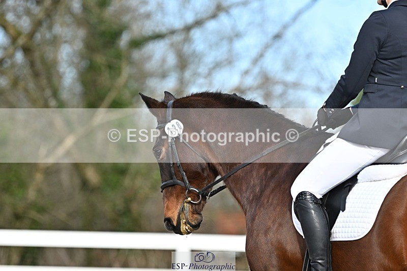 250125-124606-00479 - Dressage - CT Class 6 BE102