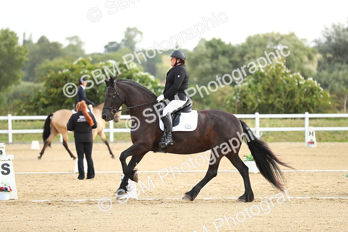 SBM_015042 - Class 13 - Novice 23 - 8,30-9.33