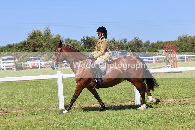 IMG_2385 - Class 38: Veteran Ridden