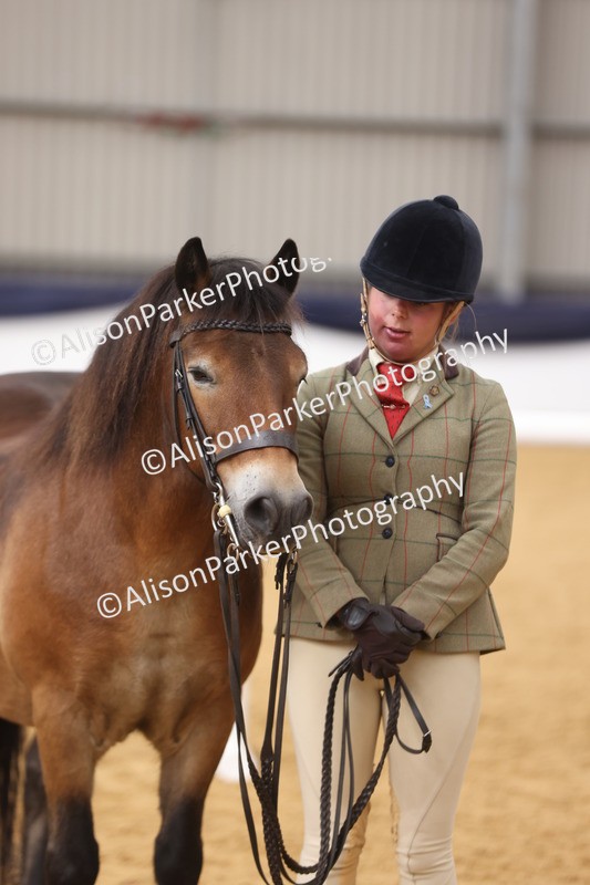 20260913-1713 - Class 115 - Gelding 4years and over