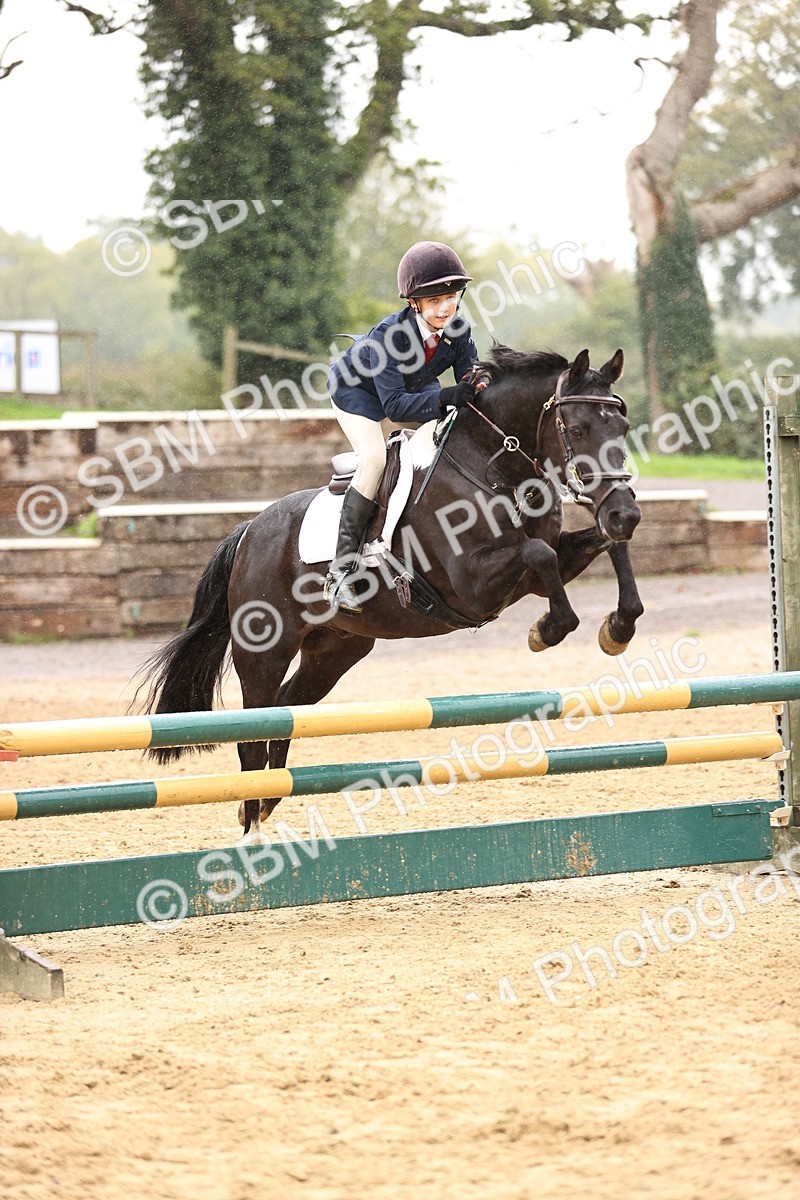 SBM_69969 - Supreme Championship 80cm 85cm