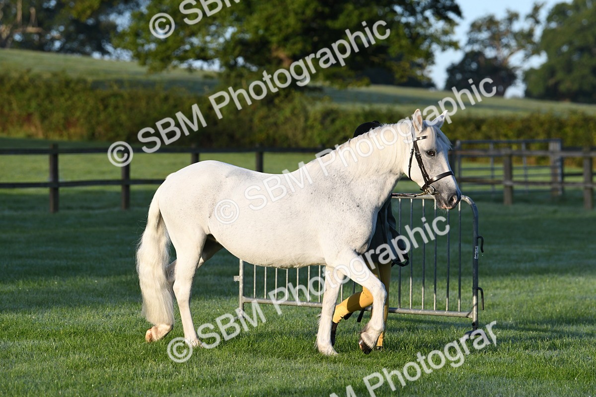 SBM_32412 - S15 - Condition & Turnout In Hand