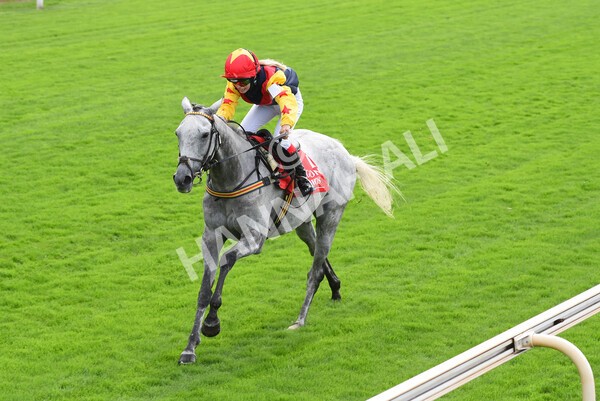 yr04092022p1-58 - 12.30pm 148cm Conditions Pony Race