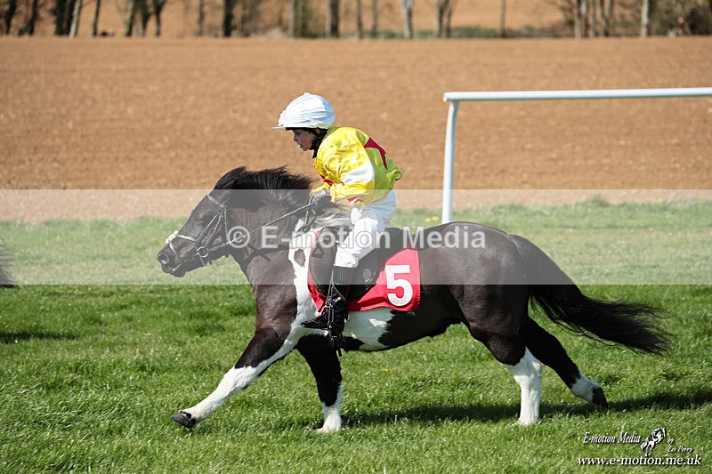 Shet 060426 201 - Shetland Pony Racing Paxford Races Easter Mon 06/04/26