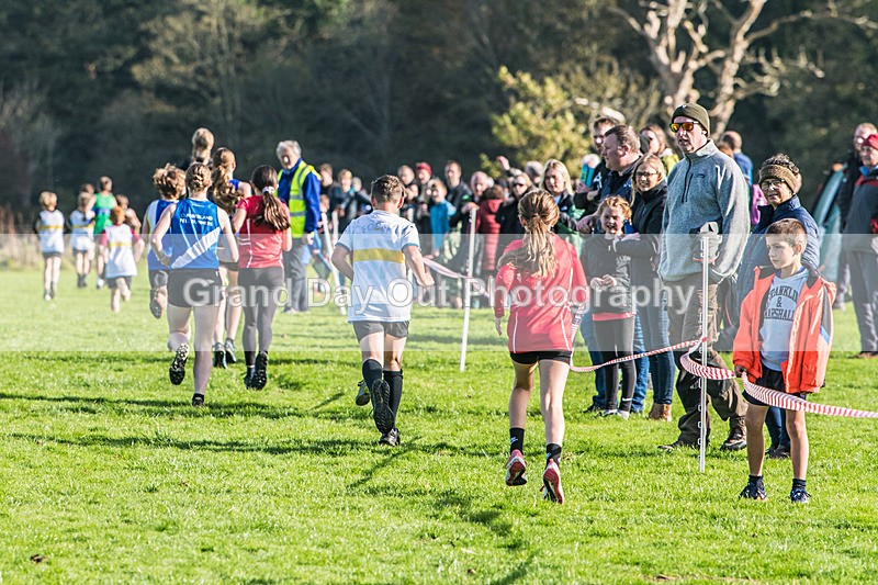 Cumbria XC-237 - Cumbria XC League Workington Saturday 26th October 2024