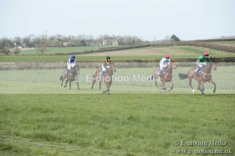 PtP 230319 330 - VWH Hunt Siddington Point-to-Point Racing 23/03/19