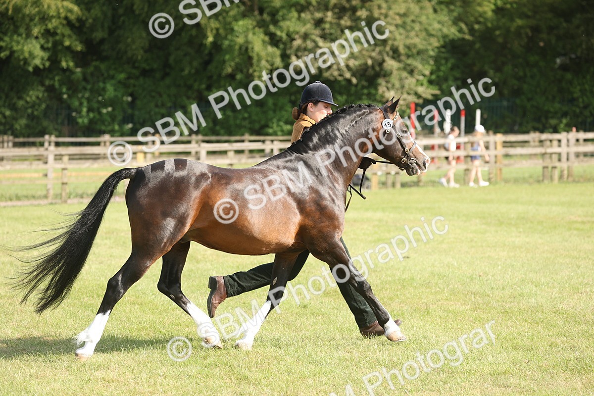 SBM_10349 - Class 33-38 - SSADL RIHS Qualifiers
