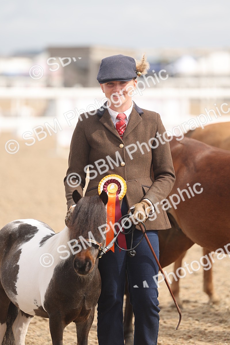 SBM_04584 - Class 19 - Horse/Pony Judge would most like to take home