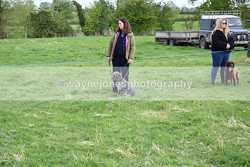 WJ6_8435 - Class 6 Best Rescue