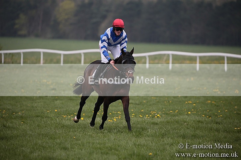 PtP 210418 65 - South & West Wilts Point-to-Point Larkhill 21/04/18