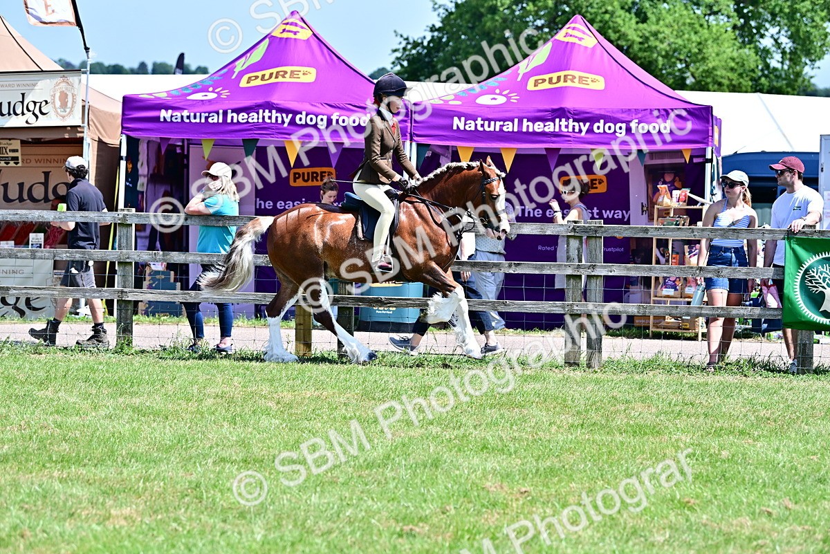 SBM_15290 - Class 95-97 - BSPS LHS Performance Ponies