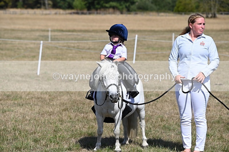 WJ6_9412 - Class 40 Cheekiest Pony/Horse