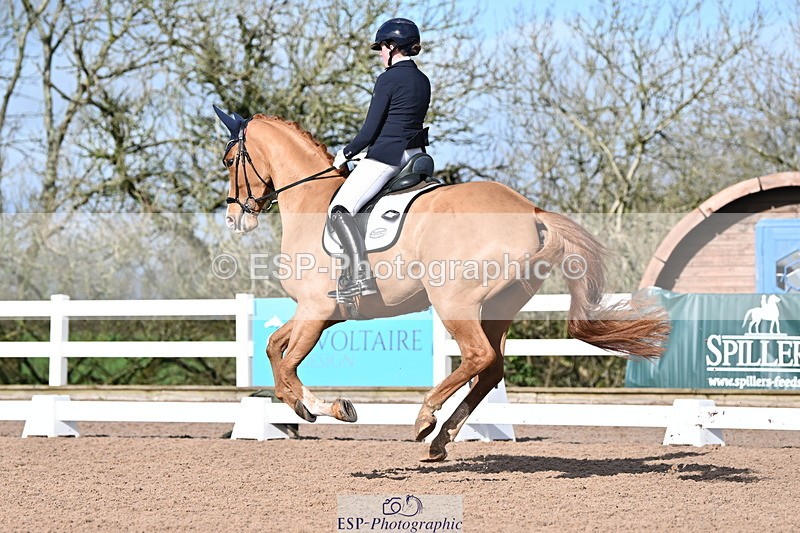 240218A-114446-06839 - 272-Beth.Bainbridge-Newton.Dreamcatcher