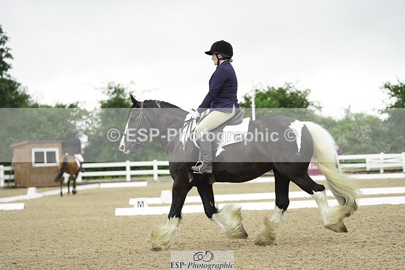 230708A-100108-00268 - Intro C