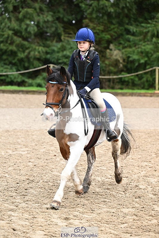 260222A-094128-00191 - 40cm Lead Rein and Assisted