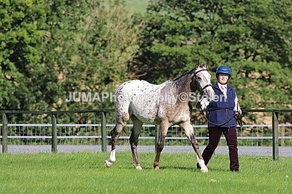 SIAL5576 - Ring 1 & 3