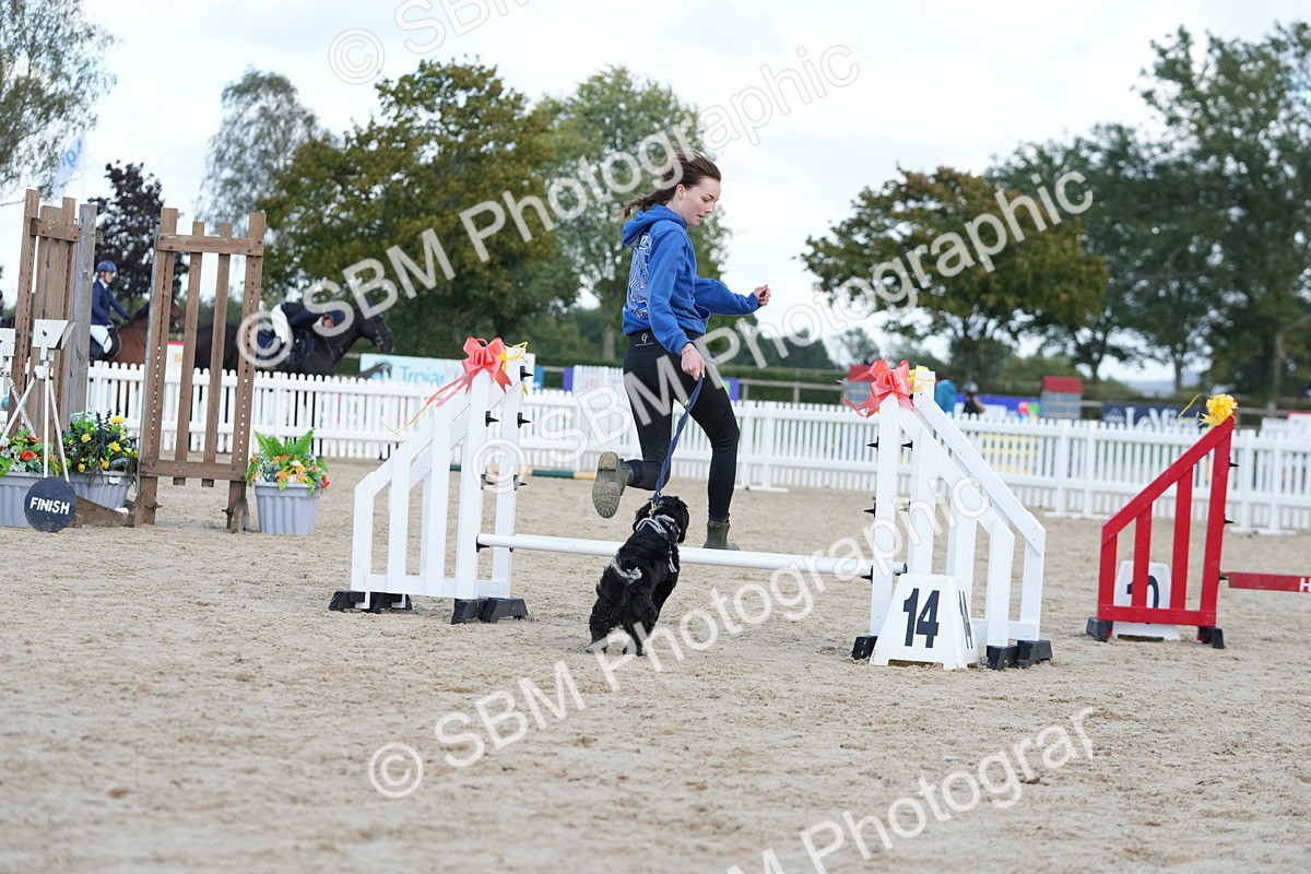 SBM_29191 - J43 - Horse & Hound Open 50cm