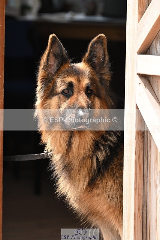 250723-124501-00686 - Cls 3 Snr 1.05m