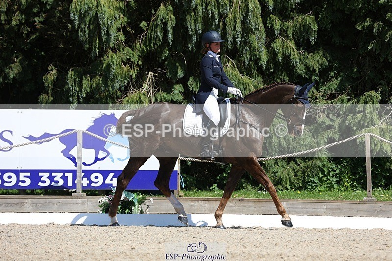 230526-145611-06587 - 376-DIRECT_BALLYTARSNA_DUCAREL-Jodie_Amos-WEDTrotUp+DR