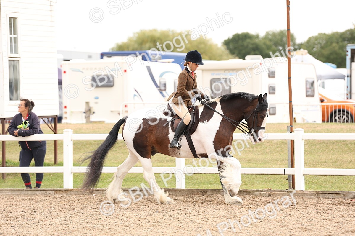 SBM_19660 - Class 216 - Ridden Traditional - Native Cob