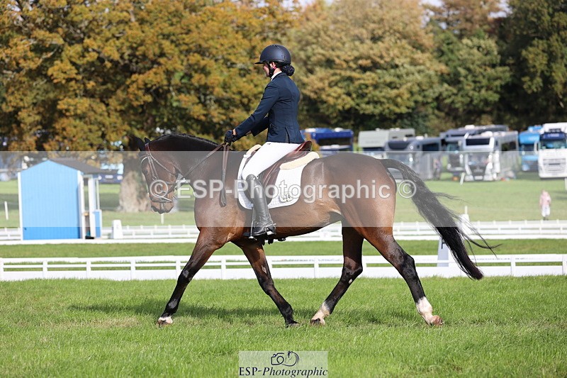 251024A-113836-10011 - D-354-Poppy.Burner