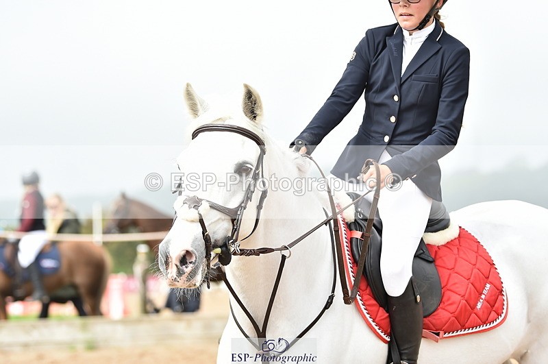 230902A-112310-00697 - Cls 2B Pony Small 80cm